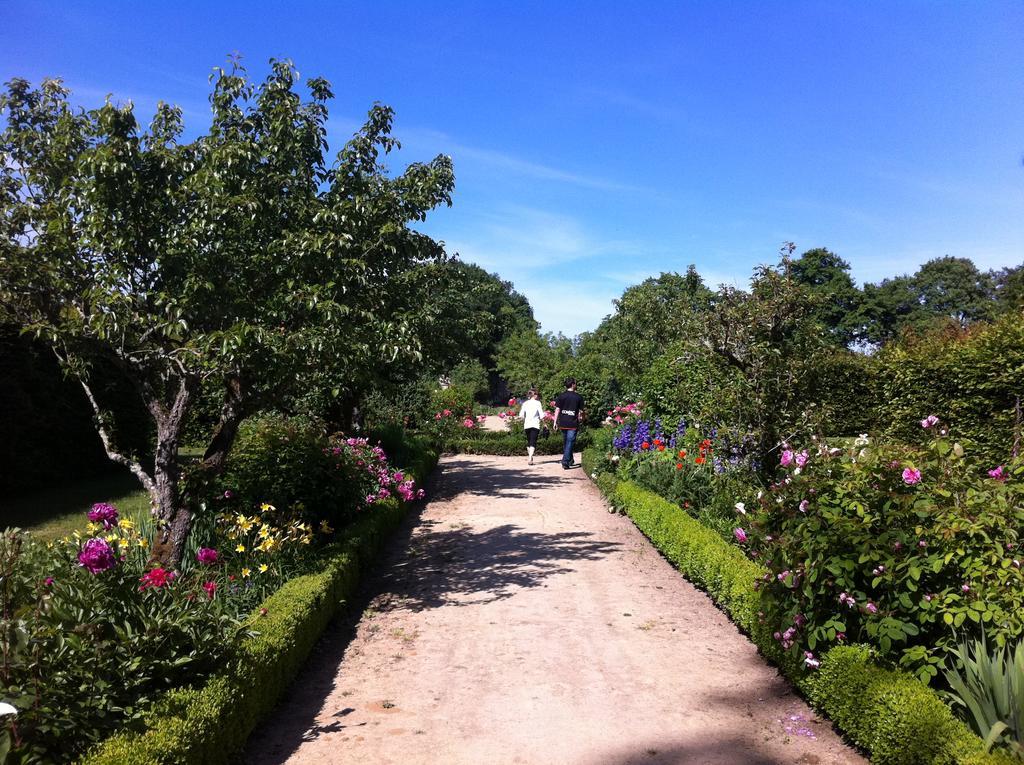 Champigné Chateau Des Briottieres מראה חיצוני תמונה
